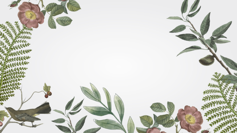 Haircare is Selfcare!